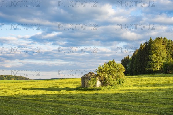 Dilapidated ruin of a stone hut on a freshly mown meadow in the evening light, Swabian Alb, Münsingen, Baden-Württemberg, Germany, Europe