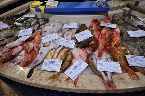 Fish counter, fresh fish, display of fresh fish, gurnard, monkfish, bream, sea bass, ray, market hall, Mercado Municipal de Lagos, Lagos, Algarve, Portugal, Europe