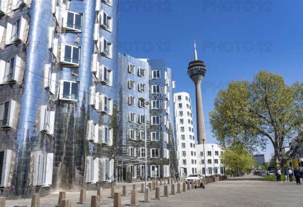 Neuer Zollhof, Gehry buildings, by the architect Frank O. Gehry. Media Harbour, Rhine Tower, Düsseldorf, Rhineland, North Rhine-Westphalia, Germany, Europe