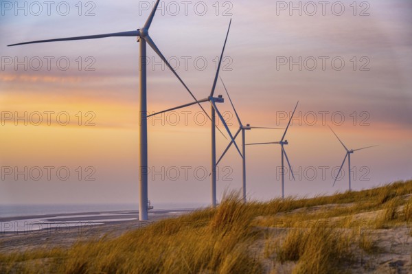 ENECO wind farm on the dike around the harbour Maasvlakte 2, 22 wind turbines with a capacity of 116 megawatts, sunset, Rotterdam, Netherlands