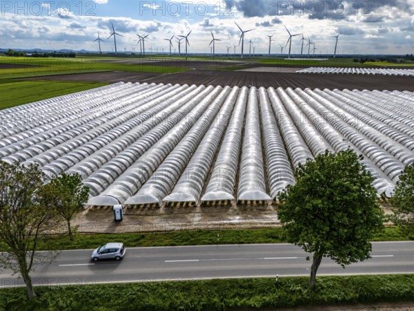 Agriculture, large areas with foil tunnel, for the cultivation of strawberries, freshly cultivated fields, wind farm, south of Lövenich, belongs to Erkelenz, in the district of Heinsberg