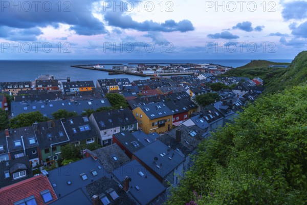 Heligoland Island, North Sea, view from the upper land, rooftops in the lower land, rows of houses, overgrown cliff, harbour, evening shot, Pinneberg district, Schleswig-Holstein, Germany, Europe