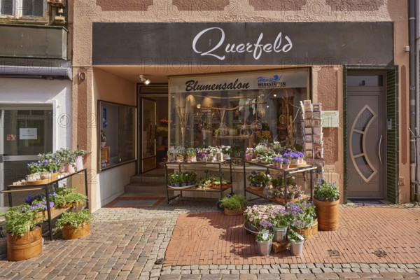 Flower shop Querfeld in the pedestrian zone in Stade, Hanseatic city, district of Stade, Lower Saxony, Germany, Europe