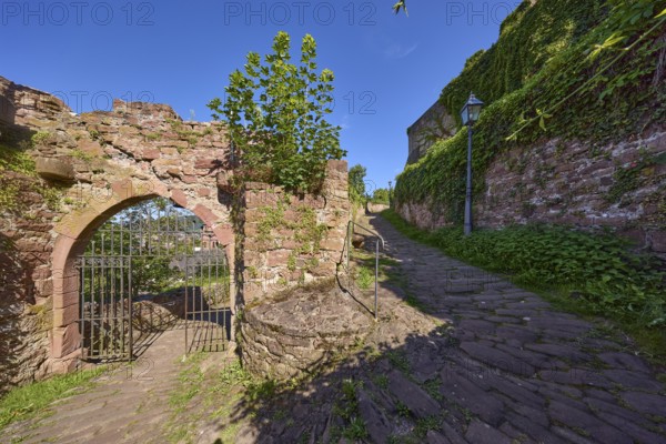 Dilapidated walls and old wrought-iron gate on the Schlossgasse in Miltenberg, Lower Franconia, Miltenberg district, Bavaria, Germany, Europe