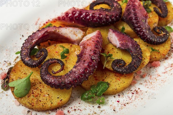 Octopus with potatoes and spices, on a light plate, top view, no people, homemade, close-up