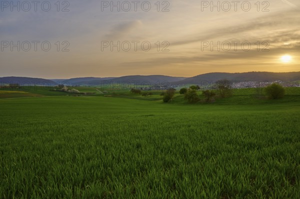Green meadow in hilly landscape at sunrise with soft clouds in the sky, Mönchberg, Mltenberg, Spessart, Bavaria, Germany, Europe
