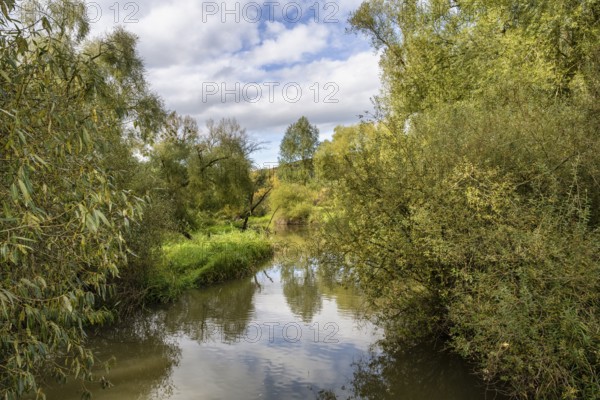 The Stockacher Aach flows through the autumn-coloured Stockacher Aachried into western Lake Constance, Hegau, Bodman-Ludwigshafen, Stockach, district of Constance, Baden-Württemberg, Germany, Europe