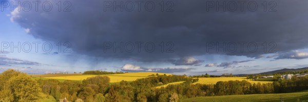 Spring landscape on the Alte Poststraße with blossoming rape fields in the Osterzgebirge, Rippien, Saxony, Germany, Europe