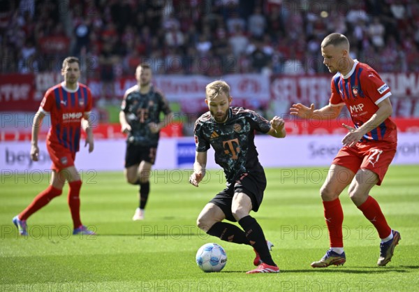 One-on-one, action Konrad Laimer FC Bayern Munich FCB (27) against Adrian Beck 1. FC Heidenheim 1846 FCH (21) Voith-Arena, Heidenheim, Baden-Württemberg, Germany, Europe