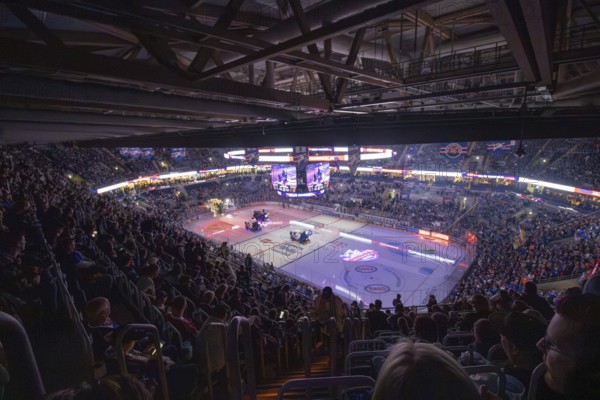 DEL, German Ice Hockey League season 2024/25, playoff quarter-finals, game 5: Adler Mannheim vs Red Bull Munich***View of the SAP Arena shortly in front of the start of the game. 12049 spectators provided a good backdrop on Tuesday evening