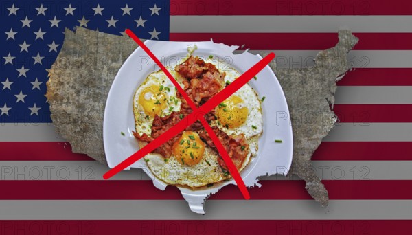 Symbolic image, USA without eggs, Joe Biden's guilt, bird flu, chaos due to America-first policy, EU and Germany under political pressure, industry, Donald Trump, deal demands, tariff threats, Elon Musk, social networks, fake news, rights broken, hate, agitation, DSG Digital Services Act, re-election, USA, politics, announcements, vendetta, wanted dictator, Republicans, USA electoral system, global danger, lies, 2nd term, global strain, Ukraine war, storm White House, cascade of lies, Trump's election, Trump's election. term, global burden, Ukrainian war, White House storm, cascade of lies, North America