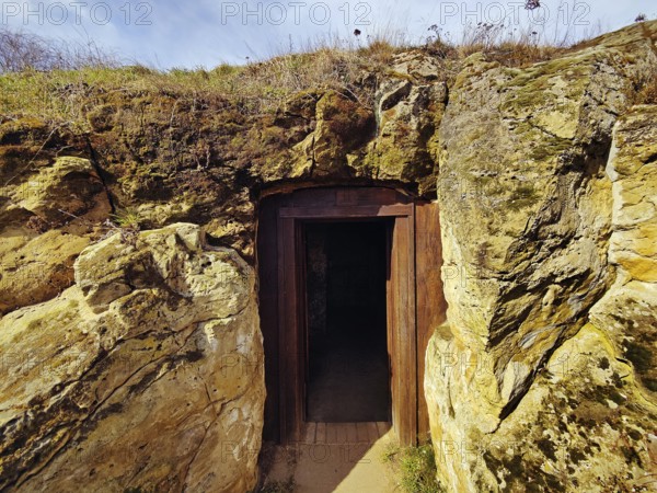 Entrance to the cave dwelling in the Höhlenstrasse am Schäferberg, Langenstein cave dwellings, Halberstadt, Harz district, Saxony-Anhalt, Germany, Europe