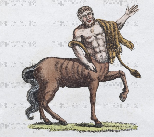 Centaur, hand-coloured copperplate engraving, from Friedrich Justin Bertuch's picture book for children, Vienna 1801