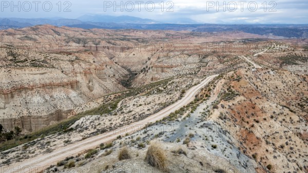 Track leads through wide, hilly desert landscape with dry vegetation, Gorafe desert, semi-desert, Granada, Andalusia, Spain, Europe
