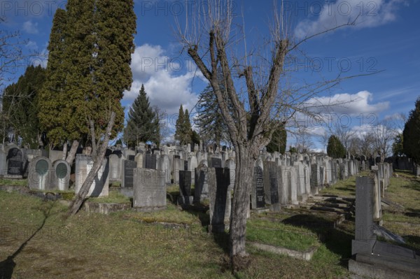 Old graves at the Israeli cemetery, inaugurated in 1882, Werner-von Siemens Str. 2, Würzburg, Lower Franconia, Bavaria, Germany, Europe