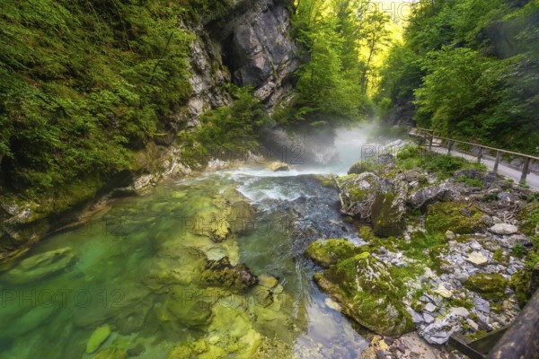 Clean water flowing through vintgar gorge near bled in slovenia, creating a beautiful natural landscape