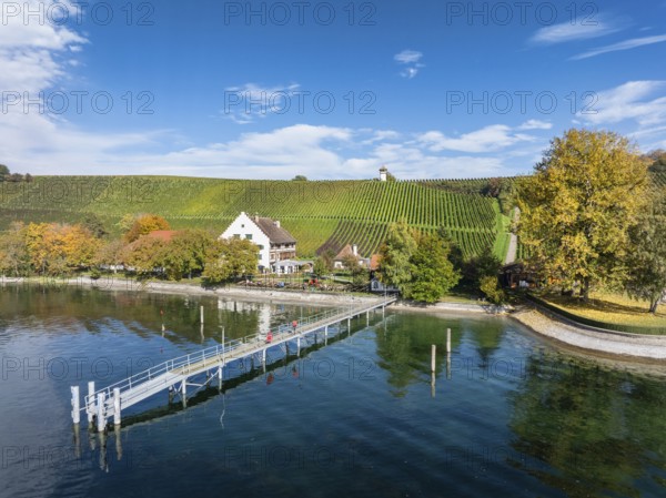 Aerial view of the jetty at the historic Rebgut Haltnau with catering business, outdoor catering and event venue, behind it a vineyard with wine tower, Meersburg, Lake Constance, Lake Constance district, Baden-Württemberg, Germany, Europe