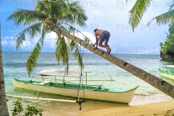 Tourist climbing a leaning palm tree over a tropical beach with traditional outrigger boats on kangbangyo island, siargao, philippines