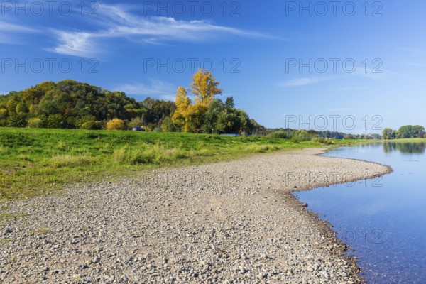 On the Elbe near Meißen opposite Karpfenschänke, Meißen, Saxon Elbland, Saxony, Germany, Europe