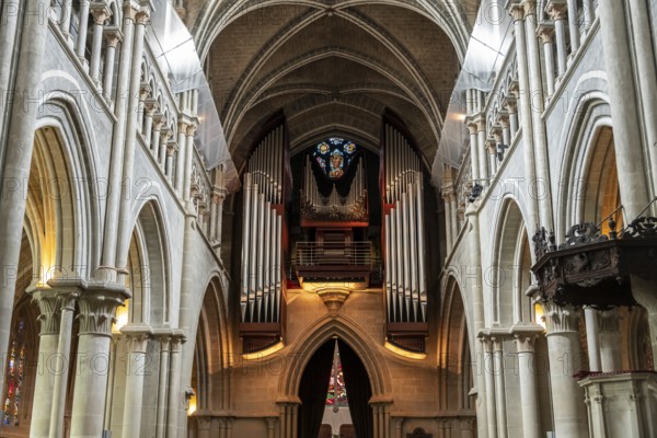 Notre-Dame Cathedral, former episcopal church of the diocese of Lausanne, today the main reformed church of the city of Lausanne, Canton of Vaud, Switzerland, Europe