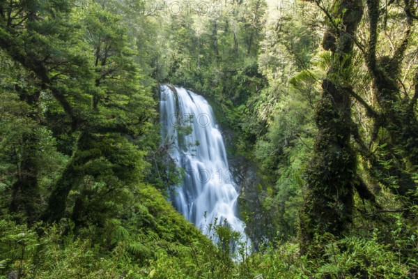 Waterfall in the jungle, Pumalin-Douglas Tompkins National Park, Chaiten, Los Lagos region, Patagonia, Chile, South America