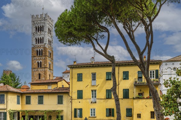 Winding houses with pastel-coloured facades, behind the tower of San Martino Cathedral, historic city centre, Lucca, Tuscany, Italy, Europe