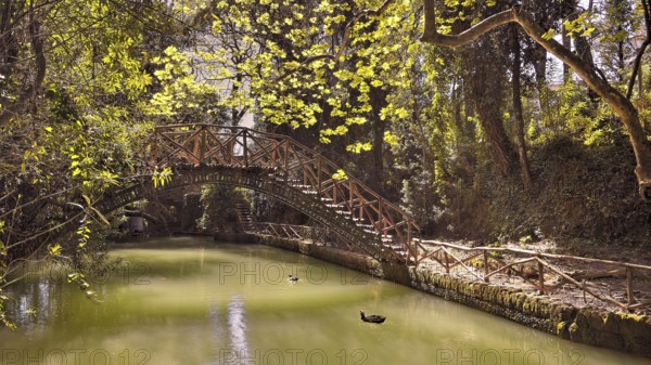 Idyllic wooden bridge over a peaceful pond in a green forest, Rodini Park, City Park, Rhodes Town, Rhodes, Dodecanese, Greek Islands, Greece, Europe