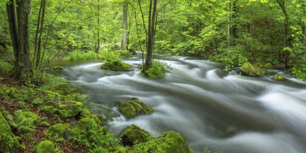 White water and rapids on the Trieb stream in the Triebtal nature reserve in Vogtland, Plauen, Saxony, Germany, Europe