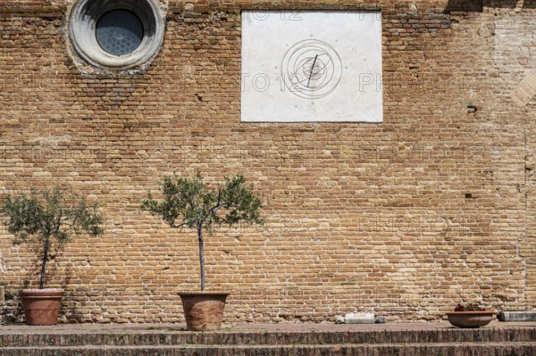 Brick wall with a sundial and two olive trees in a pot on a Mediterranean site, Tuscany, Italy, Europe