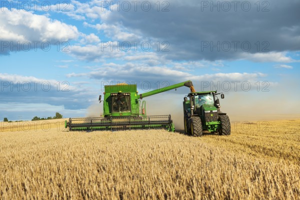 Combine harvester harvesting wheat and unloading grain onto tractor with trailer, endless cornfield, blue sky with cumulus clouds, Saalekreis, Saxony-Anhalt, Germany, Europe