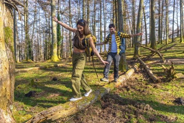 Hikers with backpacks carefully balancing on a fallen tree trunk while enjoying a hike through a sunny forest
