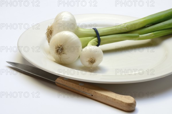 Onion, spring onions and knife on plate