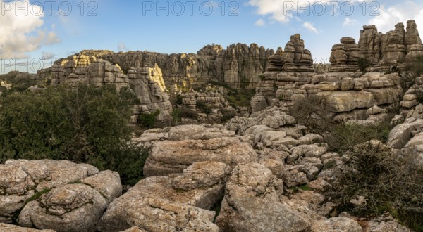 Bizarre limestone rock formations, El Torcal nature reserve, Torcal de Antequera, Malaga province, Andalusia, Spain, Europe