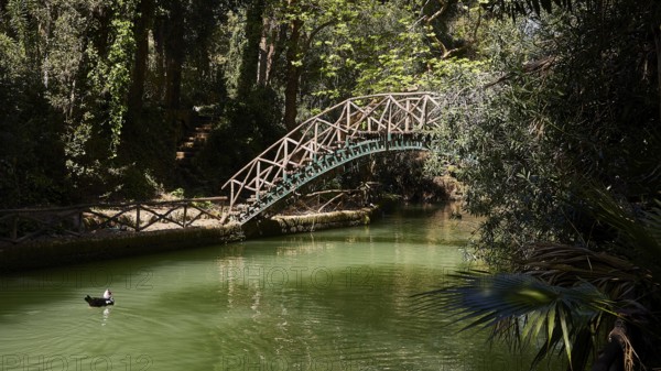 Wooden bridge over a green river, surrounded by dense forest, Rodini Park, City Park, Rhodes Town, Rhodes, Dodecanese, Greek Islands, Greece, Europe