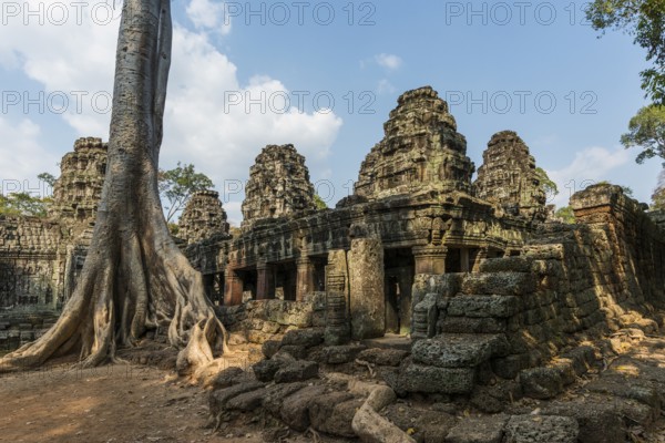 Ta Prohm, Angkor Wat, Angkor, UNESCO World Heritage Site, Siem Reap, Cambodia, Indochina, Southeast Asia, Asia
