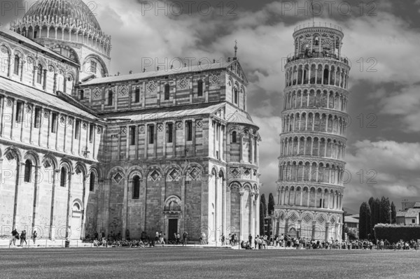 The Cathedral of Santa Maria Assunta and the Leaning Tower, black and white photograph, Pisa, Tuscany, Italy, Europe