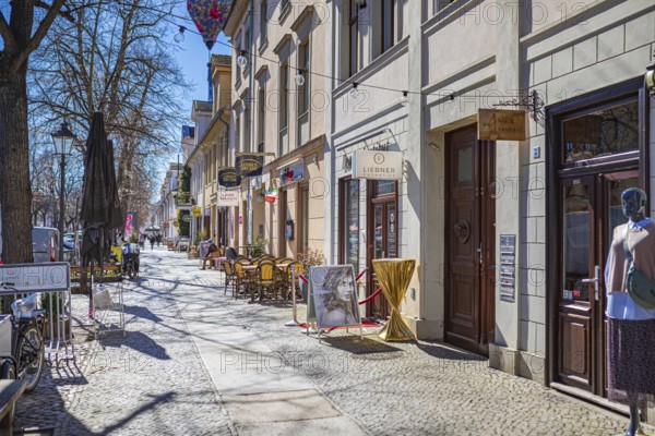 Lindenstraße in Potsdam, Germany, Europe