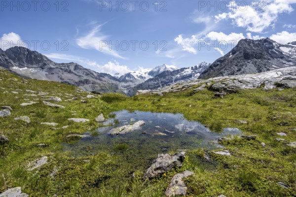 Mountain landscape with small pond, behind mountain peak Mont Blanc de Cheilon, Hérménence, Valais Alps, Valais, Switzerland, Europe
