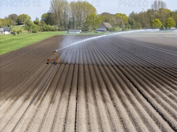 Artificial irrigation of a potato field in April, with a sprinkler system, long drought in spring makes this necessary, for the total of 7.5 hectares 3 full days are needed to get the necessary moisture for the freshly sown potato plants, south of Straelen, Lower Rhine, North Rhine-Westphalia, Germany, Europe