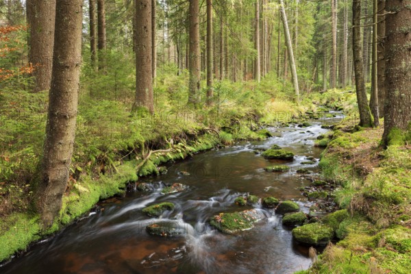 The Weißmain, source river of the Main, Bischofsgrün, Fichtelgebirge, Upper Franconia, Bavaria, Germany, Europe