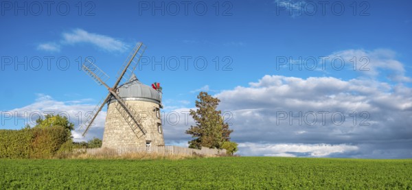 Green field with windmill under blue sky, mill, tower windmill, Tultewitz, Saxony-Anhalt, Germany, Europe