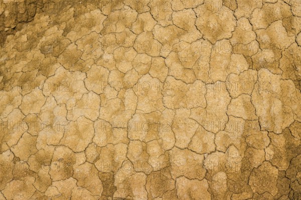 Cracked earth texture forming interesting patterns in bardenas reales desert, navarre, spain, highlighting the impact of drought and arid conditions