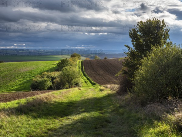 Field path through field landscape in the evening light, battlefield of 1806, Battle of Jena and Auerstedt, Thuringia, Germany, Europe