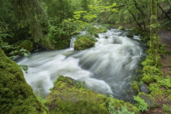 White water and rapids on the Trieb stream in the Triebtal nature reserve in Vogtland, Plauen, Saxony, Germany, Europe
