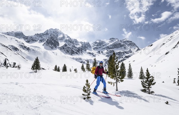 Skiers on the descent to Preda between small conifers, picturesque mountain landscape in winter with mountain peaks Piz d'Alp Val and Piz Bial, Bündner Haute Route, Albula Alps, Rhaetian Alps, Grisons, Eastern Switzerland, Switzerland, Europe