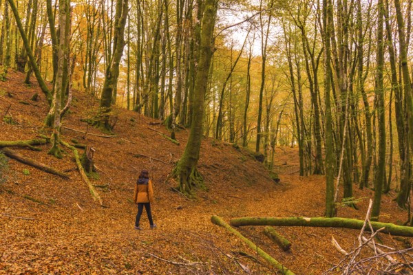 Lifestyle, a young brunette in a yellow jacket walking along the forest path in autumn. Artikutza Forest in San Sebastián, Gipuzkoa, Basque Country. Spain