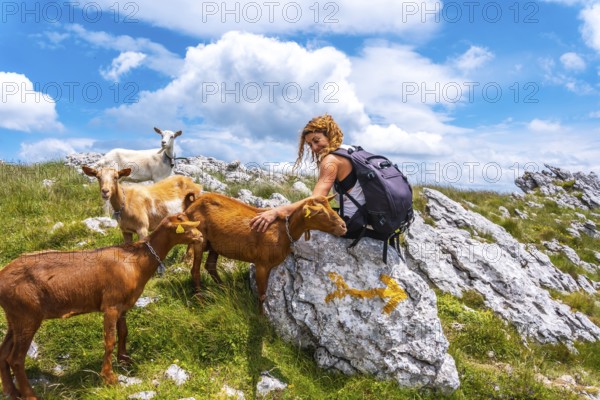 Mount Aizkorri 1523 meters, the highest in Guipúzcoa. Basque Country. Ascent through San Adrián and return through the Oltza fields. A young hiker next to some goats on top