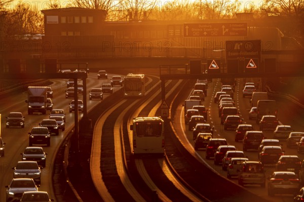 Motorway A40, dense, slow-moving traffic jam, evening traffic at the Essen-Kray junction, low sun, public transport bus lane in the middle of the motorway, North Rhine-Westphalia, Germany, Europe