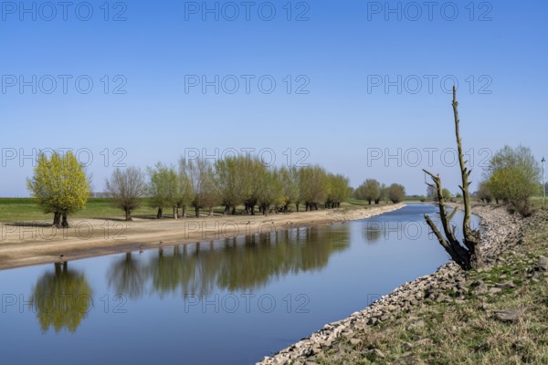 The Gierthausen oxbow lake near Schenkenschanz, Kleve, on the Lower Rhine, North Rhine-Westphalia, Germany, Europe