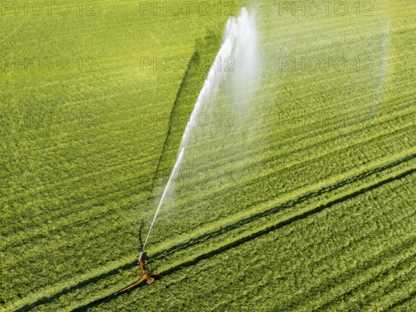 Artificial irrigation of a cereal field in April, with a sprinkler system, long dry spell in spring makes this necessary for the young plants to grow well, Kerken, Lower Rhine, North Rhine-Westphalia, Germany, Europe